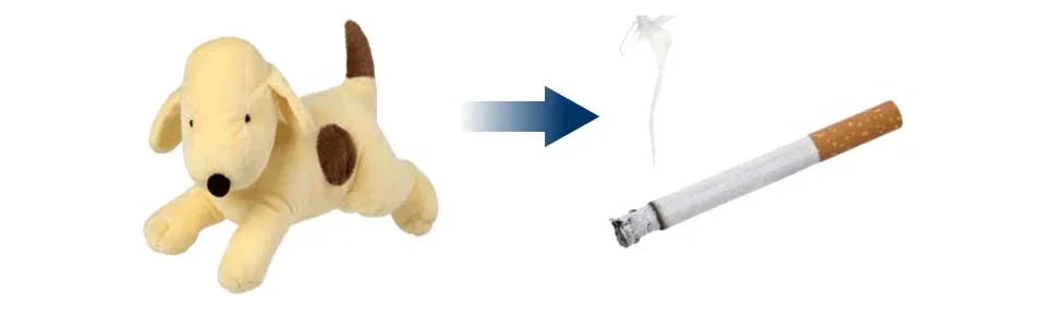 Letting Go of Comforts: My Journey From Smoking to Vaping