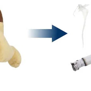 Letting Go of Comforts: My Journey From Smoking to Vaping